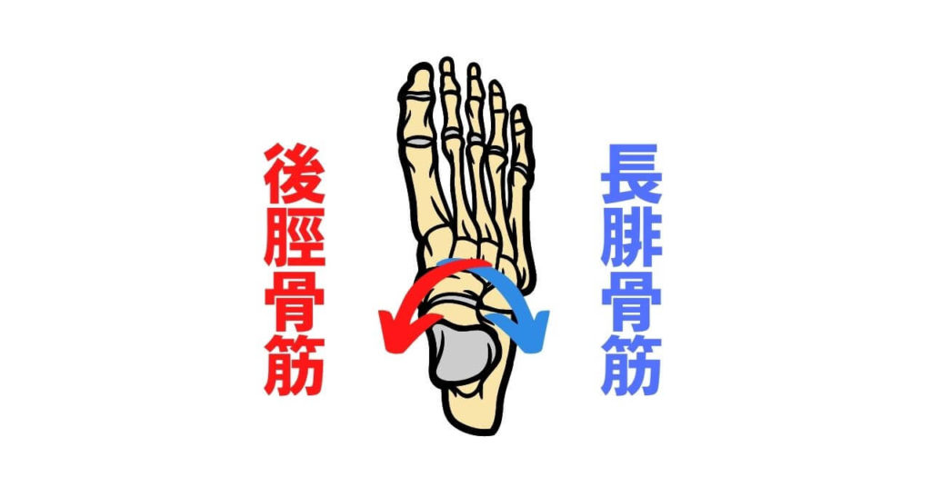 クロスサポートの画像2