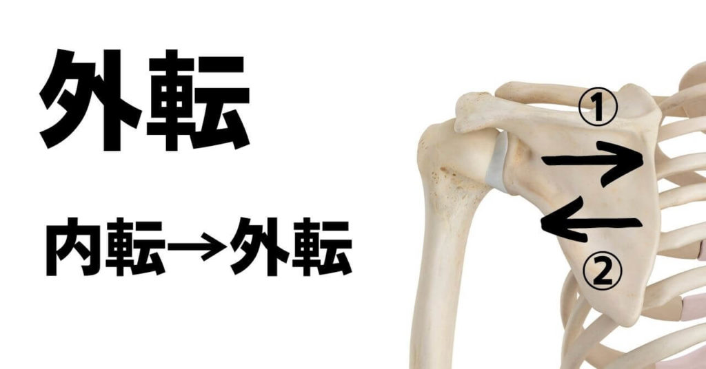 足部から肩への運動連鎖4