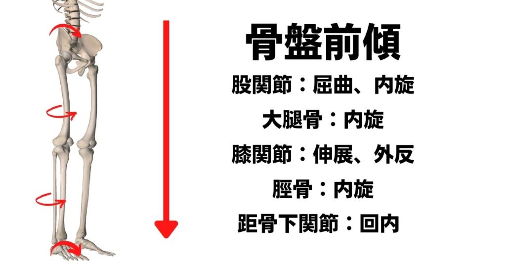 運動連鎖の画像5