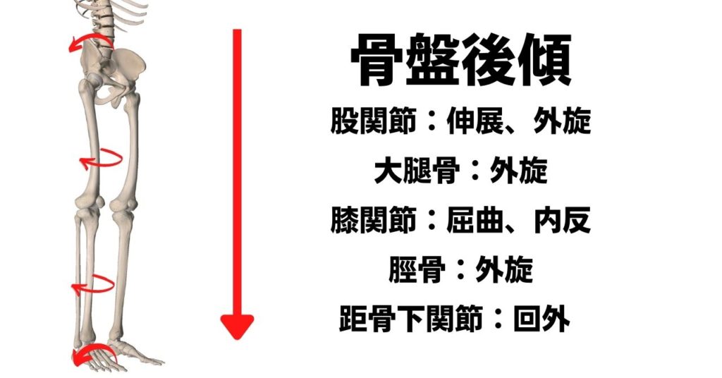 運動連鎖の画像4